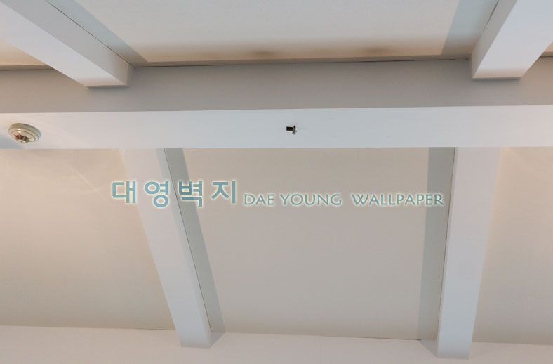 1948697120_2uRqkNzr_46ce89e1c38bb979e092fafb9035554f79b76ee6.jpg 이미지크게보기