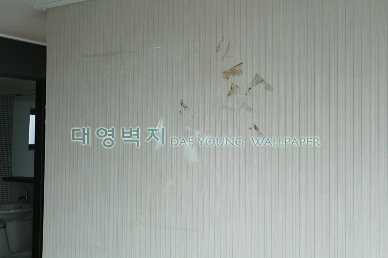 1948697120_3rfwAH4N_343908fbef31dc47d34b4c1e1b12c28c8ef4e26c.jpg 이미지크게보기