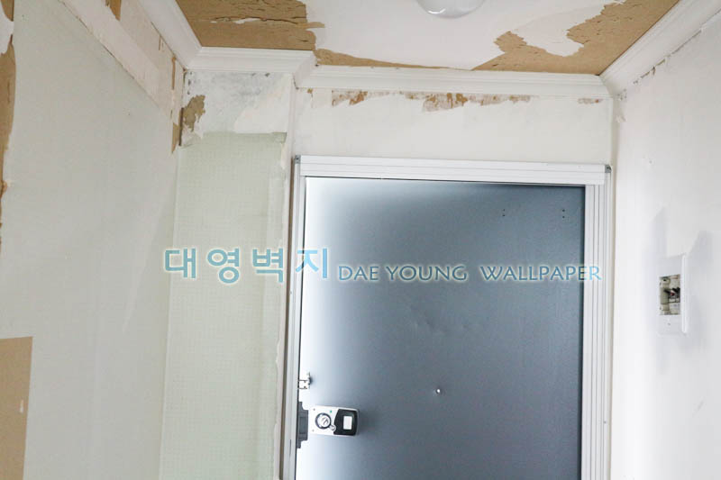 1948697120_ISnHgNqB_e6f7b9c94aa690cb81c4cee8ce06b0f0104445d8.jpg 이미지크게보기