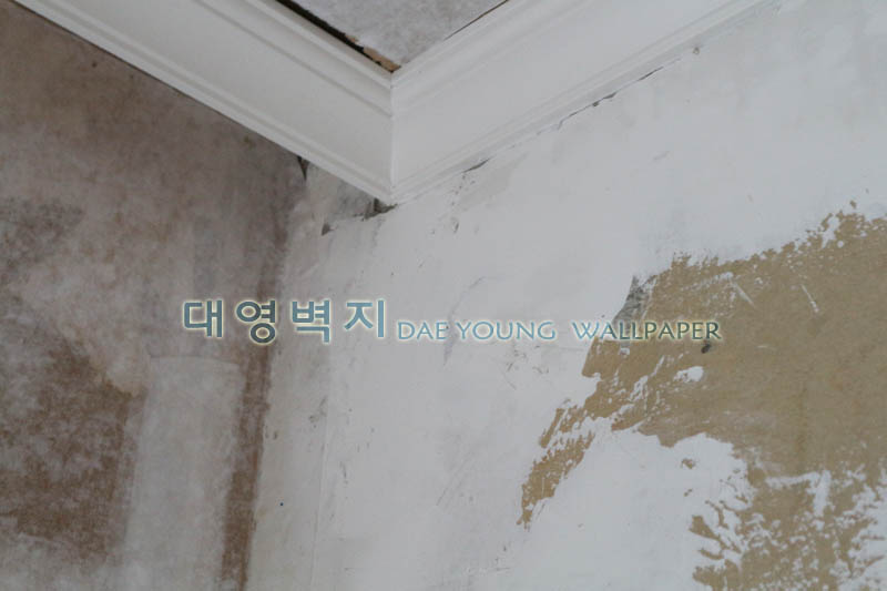 1948697120_Q7NnGVTB_d5893cd8c67459c2b8302ee9a56132c80ced37b7.jpg 이미지크게보기