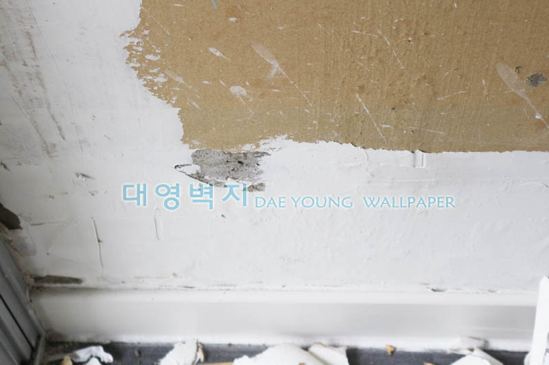 1948697120_Qz2ODyCP_fa462e60223e3b16150c7e04ace4516eff2cf881.jpg 이미지크게보기