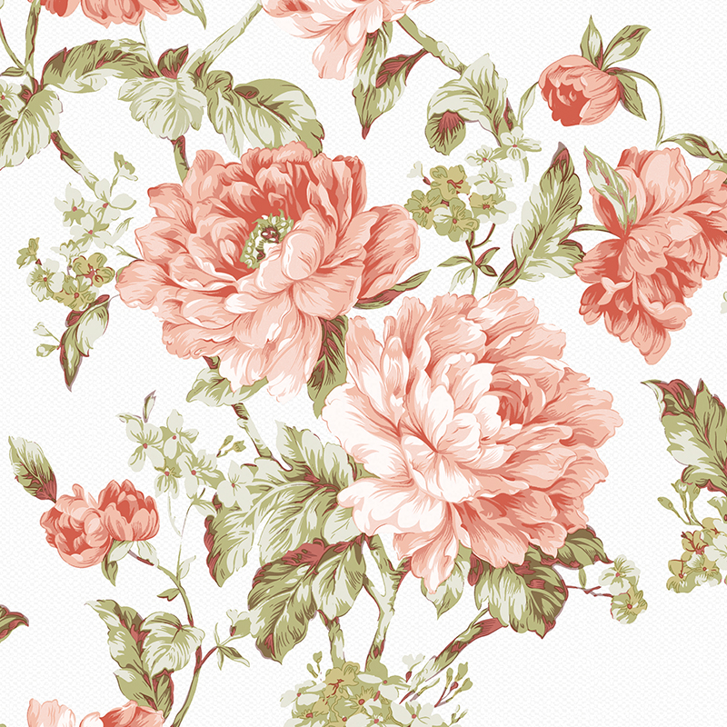 2084360905_F8d32xIT_1a9157d29f7c4c3a1e477fb36a1d3ac1d558a1a2.jpg 이미지크게보기