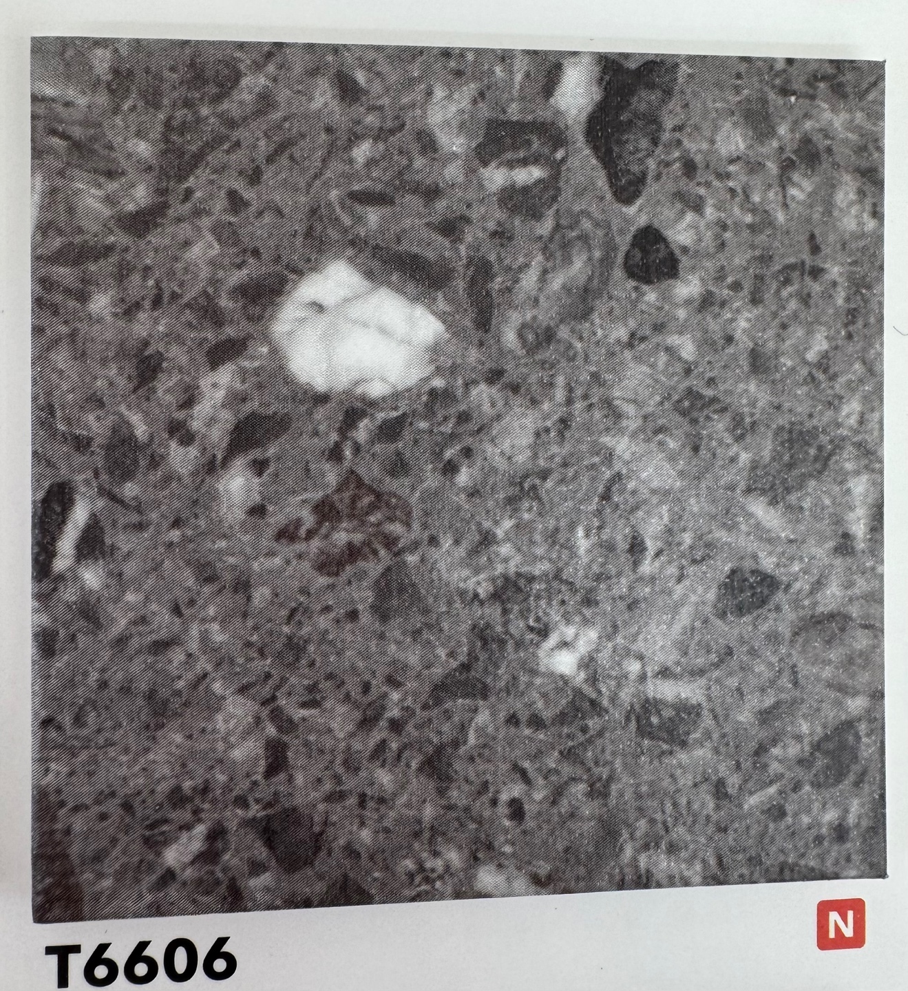 235149625_b9mF0lgv_c5d32e2a7fa577e76feb765e49f26828e9729252.jpg 이미지크게보기